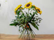 Girasoli