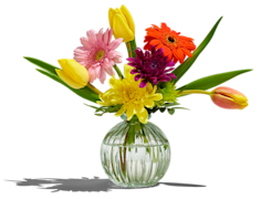 Blomster