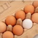Eier
