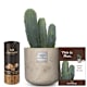 Plantes