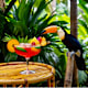Campari