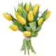 Ramos de Tulipanes