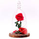 La Rosa Encantada