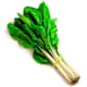 Frutas y Verduras
