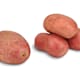 Verduras