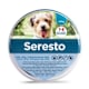 Veterinaria