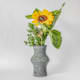 Girasoli