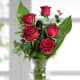 Rose Rosse