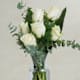 Rose Bianche