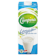 Milk and assorted milk drinks