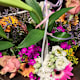 Classic bouquet