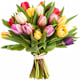 Tulipany