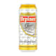 Pivo