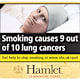 Cigarettes & Tobacco - Cigars & Cigarillos