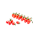Fruit & Vegetables