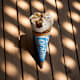 Eis