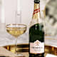 Sparkling Wine & Champagne