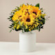 Sonnenblumen