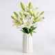 Lilien