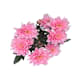 Schnittblume