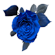 Cut Flowers