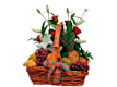 Cestas de Frutas