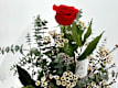 Flores Preservadas