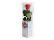 Rosa Eterna