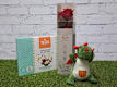 Sant Jordi