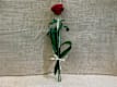 Rosas Rojas