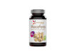 Sistema Endocrino