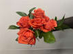 6 Rosas