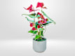 Plantas