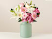 Gerberas