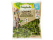 Verdura fresca e insalata