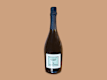 Bollicine