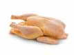 Macelleria - Pollo