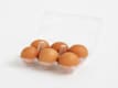 Uova eggs