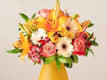 Bouquet Speciali