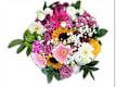 Bouquet di Laurea