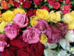 Bouquet di Rose