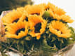 Bouquet Speciali