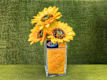 Girasoli