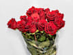 Bouquet di Rose