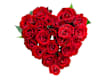 Cuori di Rose