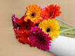 Altri Fiori