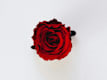 Bouquet Rose