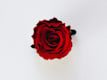 Fascio fiori alto