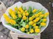 Tulipani