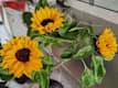 ALTRI FIORI